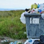 Journée citoyenne Grand ménage de printemps